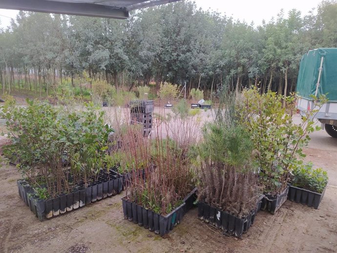 COAG-A reparte más de 6.000 plantas típicas del bosque mediterráneo para aumentar la biodiversidad en fincas agrícolas.