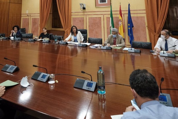 Imagen de archivo, de julio de 2020, de una reunión de la Mesa del Parlamento de Andalucía. 