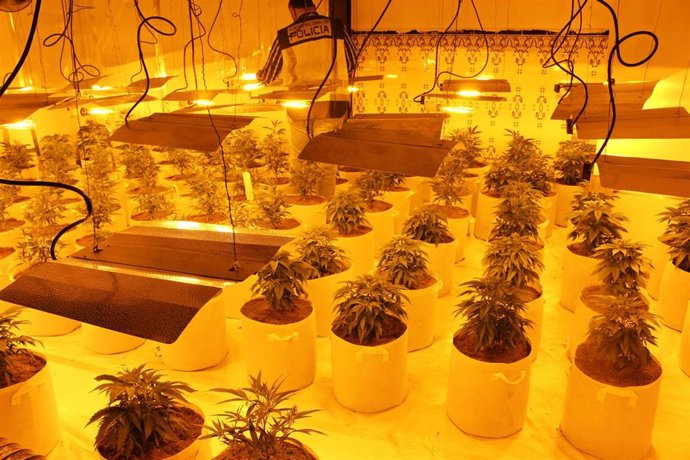 Nota De Prensa, Vídeo E Imágenes: "La Policía Nacional Detiene A Ocho Personas E Incauta Cerca De 500 Kilos De Marihuana"