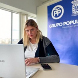 Granada.- El PP pide a Entrena que los proyectos de la Diputación para 2021 "no sean una carta a los Reyes Magos"