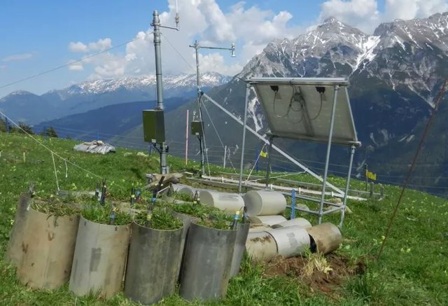 Para el estudio, se examinaron un total de 16 bloques de suelo de Kaserstattalm, un sitio para la investigación de ecosistemas a largo plazo en el Tirol.