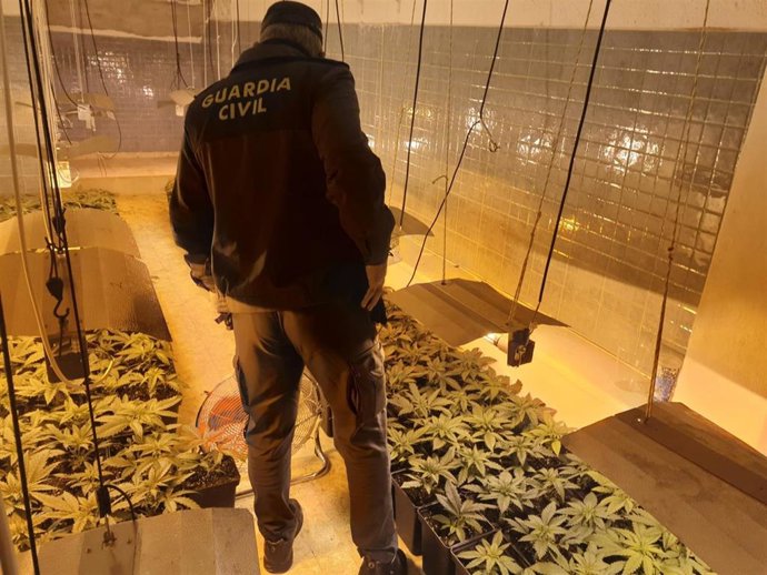 Operación de la Guardia Civil contra la marihuana