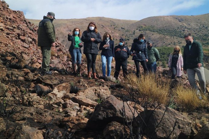 La consejera de Agricultura visita la zona afectada por el incendio forestal de Castala en Berja (Almería)