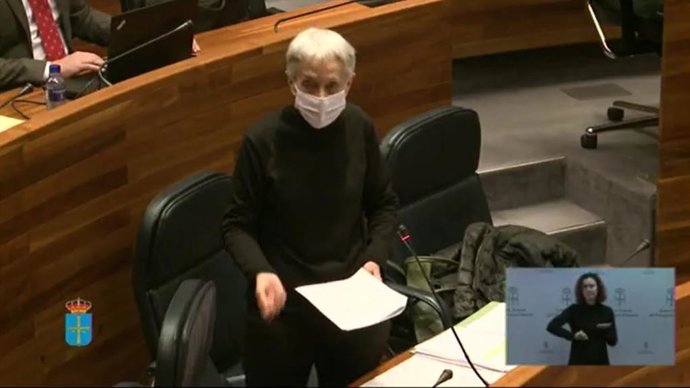 Carmen Suárez comparece en la Junta General