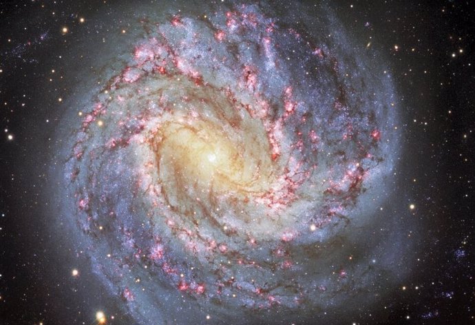 Apodado el Molinillo del Sur, Messier 83 (o NGC 5236) es una impresionante galaxia espiral que se encuentra a unos 15 millones de años luz de distancia en la constelación meridional de Hydra.