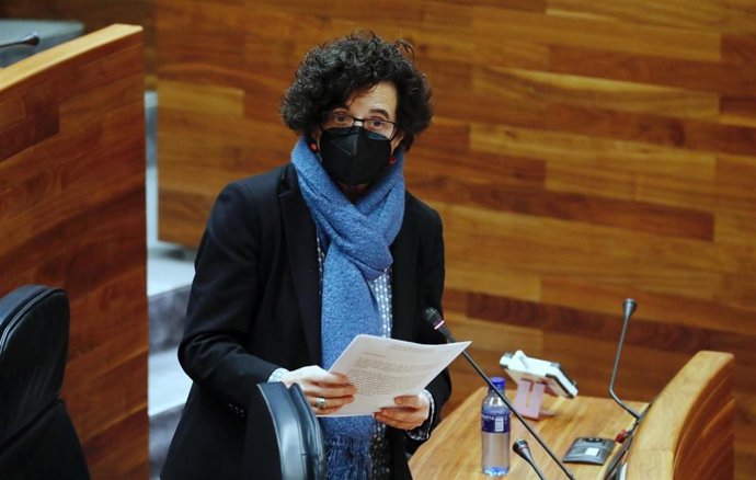 La consejera de Cultura, Política Llingüística y Turismo, Berta Piñán, en el pleno.