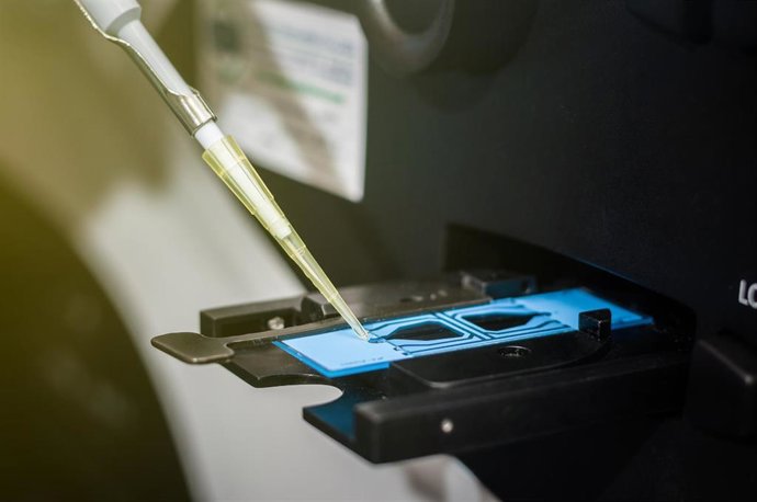 Tratamientos en el IVI