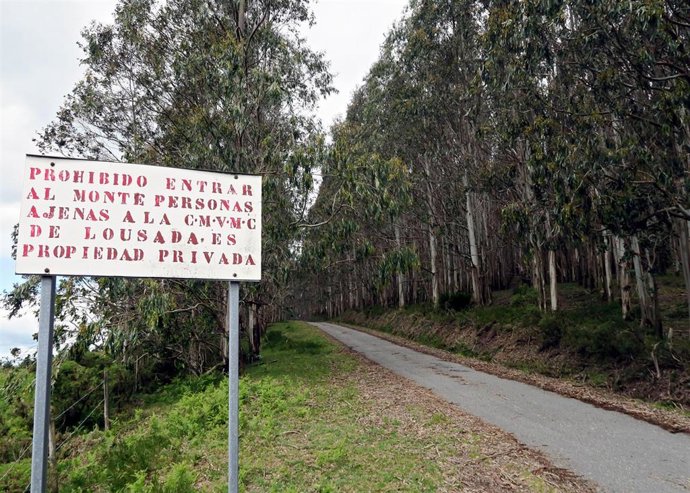 Comunidad de montes de Lousada, en Xermade (Lugo)