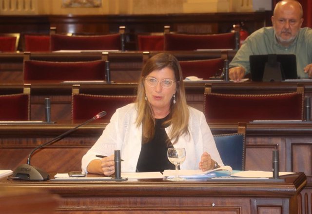 La consellera de Salud y Consumo, Patricia Gómez, en el Parlament. 