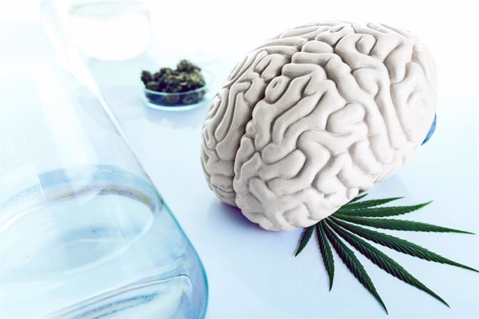 Drogas y cerebro, cannabis