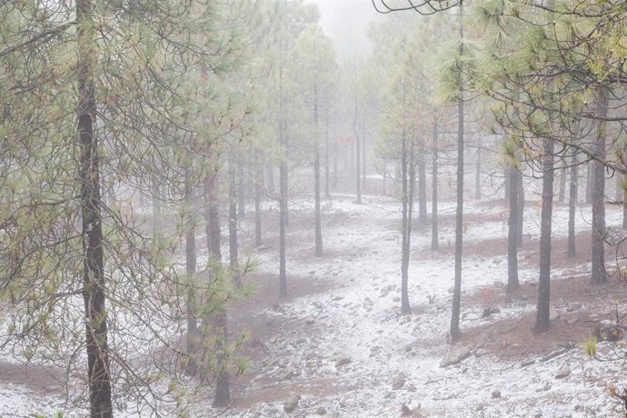 La cumbre de Gran Canaria amanece con un fino manto de nieve con motivo de la llegada de un temporal a la isla, Las Palmas de Gran Canaria, Canarias, (España), a 5 de febrero de 2021. El temporal, una profunda vaguada atlántica, llegó el pasado miércole