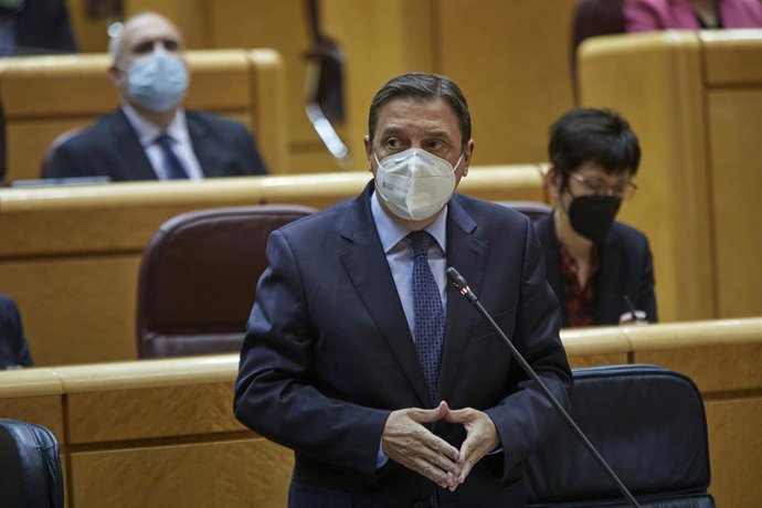 El ministro de Agricultura, Pesca y Alimentación, Luis Planas