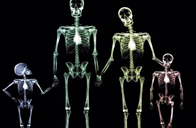 Esqueletos de una familia con huesos fuertes