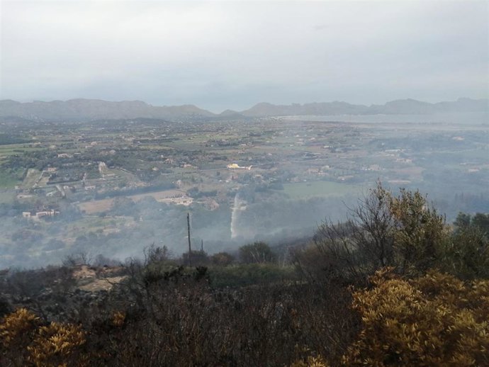Incendio forestal en Camí de Son Moll, Alcúdia.