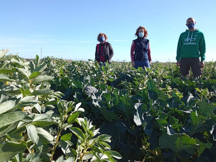 Foto de Zornoza, Virginia Sánchez y Josefina Contreras en la finca donde se han realizado los ensayos.