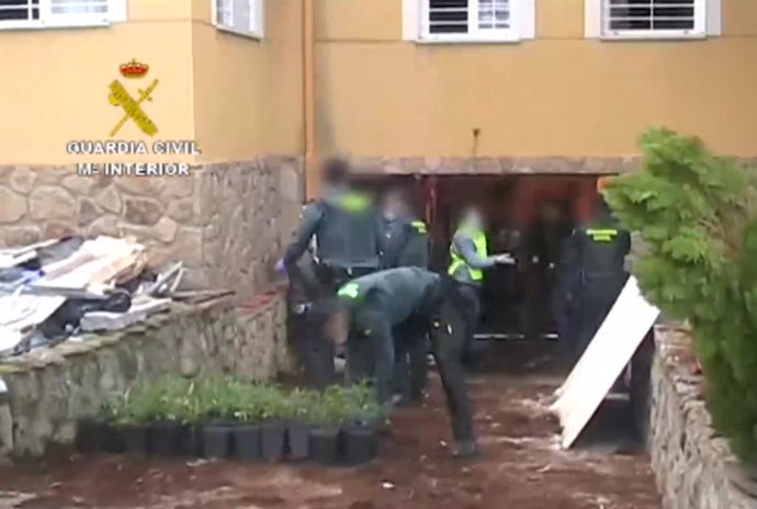 Dos detenidos y desmantelado un cultivo ilegal de más de 2.200 de marihuana en un chalé de Villaviciosa de Odón