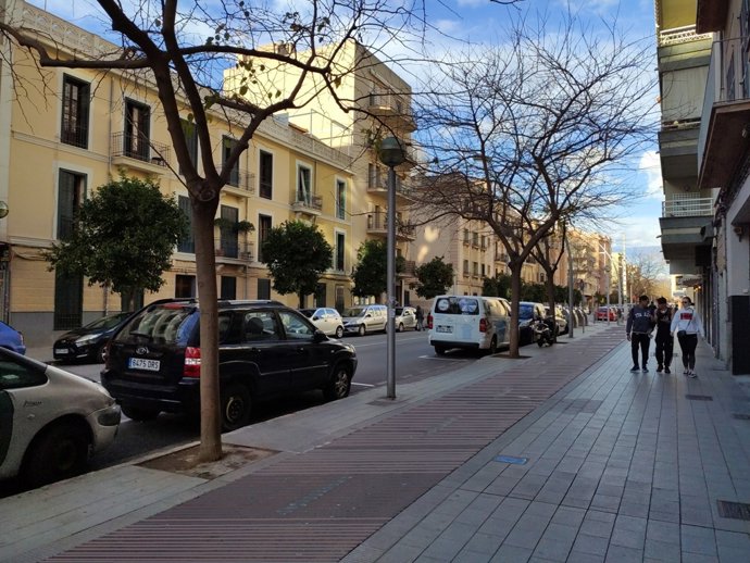 Calle Arxiduc Lluis Salvador (Palma).