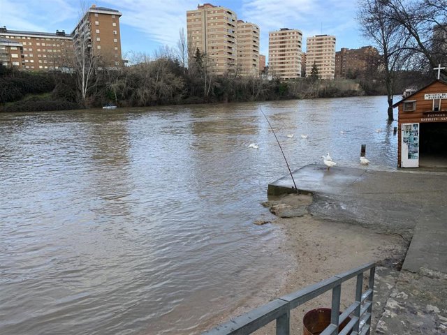 El caudal del río Pisuerga supera los 305 metros cúbicos por segundo este miércoles.