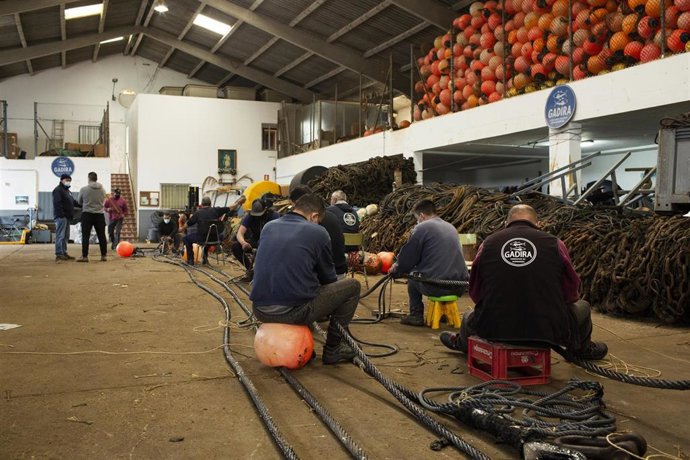 Preparativos de tierra de la almadraba de Conil
