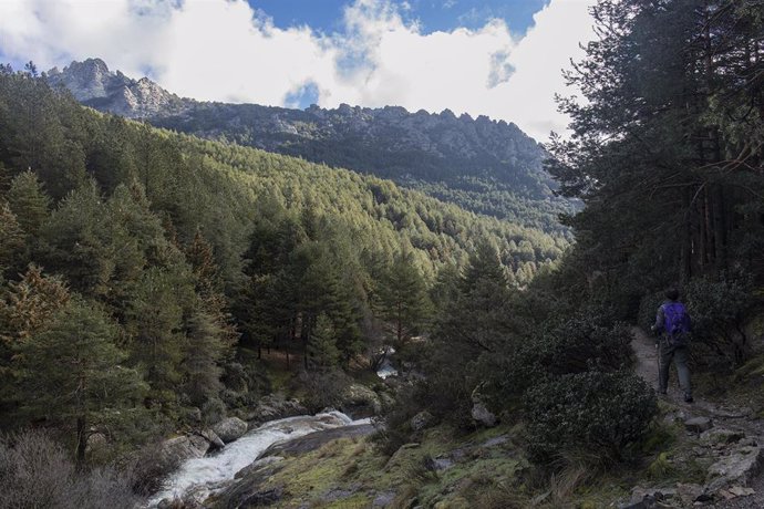 Un senderista en el camino de regreso desde los Chorros del Manzanares, en la Sierra de Guadarrama, Madrid (España), a 8 de febrero de 2021. La gran nevada provocada por la borrasca Filomena y las lluvias dejadas por la borrasca Hortensia han hecho 