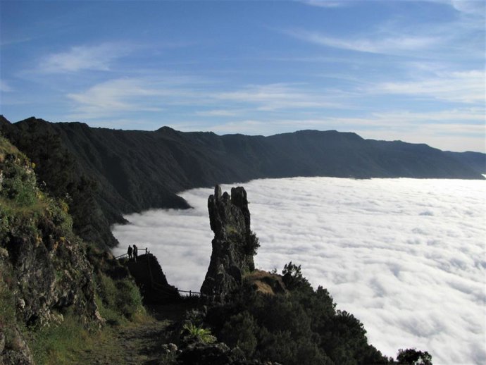 Canarias debatirá la futura Ley de la Biodiversidad y de los Recursos Naturales con colectivos y ciudadanos