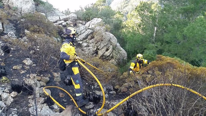 Extinguido el incendio que ha calcinado más de tres hectáreas de pinar en Alcúdia.