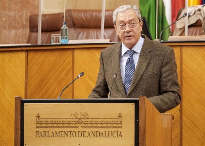 El consejero de Transformación Económica, Rogelio Velasco, este miércoles en el Pleno del Parlamento.