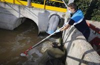 Los datos sobre el coronavirus en aguas residuales serán accesibles a partir de la semana que viene