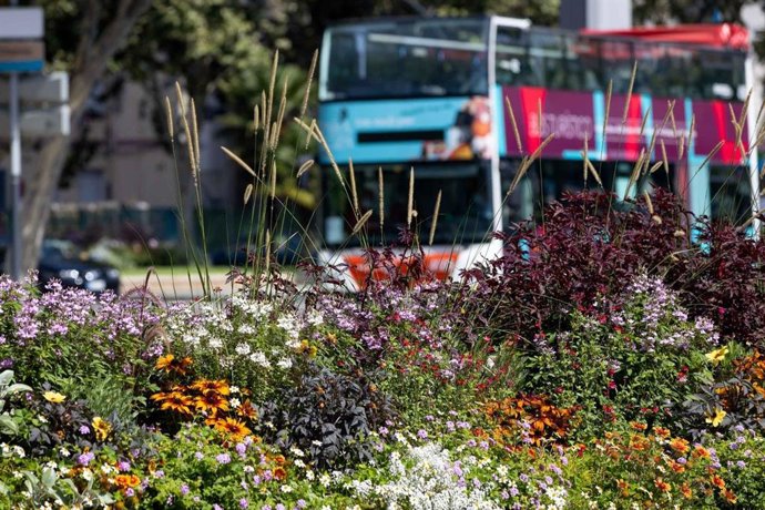 Composición floral permanentes en un parterre de Zaragoza