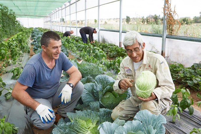 Fundación 'la Caixa' destina casi un millón de euros a proyectos sociales dirigidos a personas vulnerables en Aragón