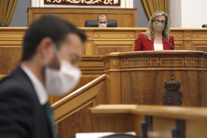 La diputada del PP Lola Merino y el consejero de Desarrollo Sostenible, José Luis Escudero, en el pleno.