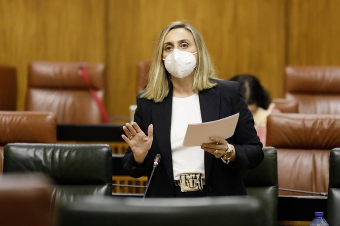 La consejera de Fomento, Infraestructuras y Ordenación del Territorio, Marifrán Carazo, en el Pleno del Parlamento.