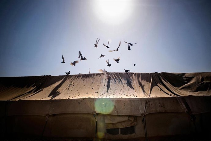 Imagen de Maysun de la exposición titulada "Fronteras del mundo"