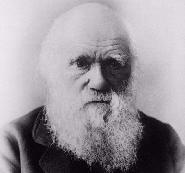 Hacia 1879, un cada vez más famoso Darwin llevaba años aquejado de una enfermedad crónica.
