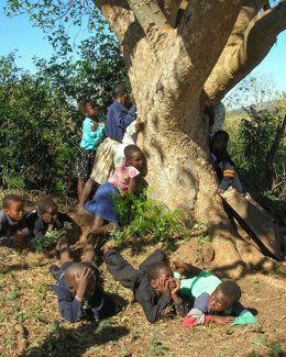 Niños se abrazan a un árbol de Treedom en Kenia