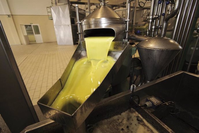 Imagen de archivo del proceso de obtención del aceite en una almazara.