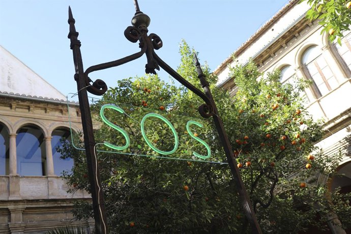 La muestra 'Naturalezas muertas' del artista Avelino Sala en el CCCC