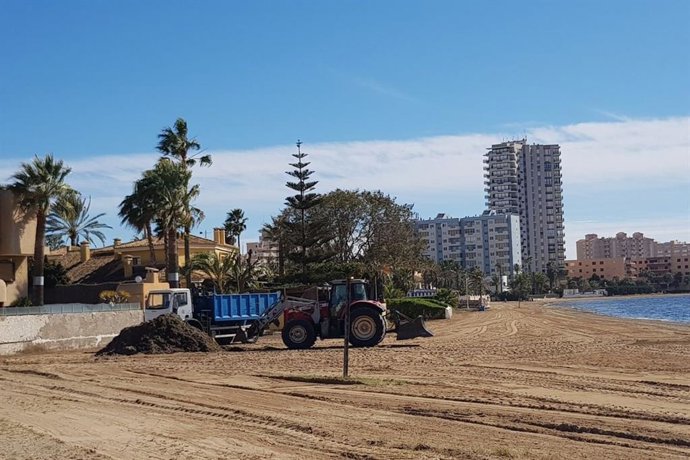 Limpieza y mantenimiento de arenales del Mar Menor retirando biomasa