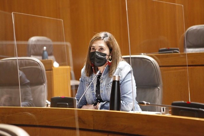 Ciudadanos pide desarrollar un Plan de Cuidados Paliativos de Aragón en un plazo de 6 meses.