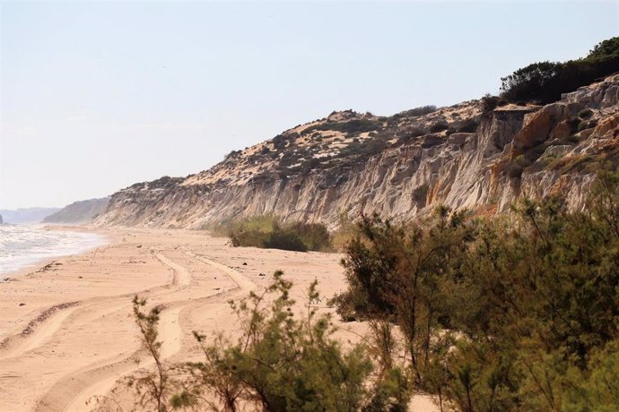 Investigadores del CSIC estudian los procesos de fosilización en Doñana en 3.700 restos esqueléticos de vertebrados