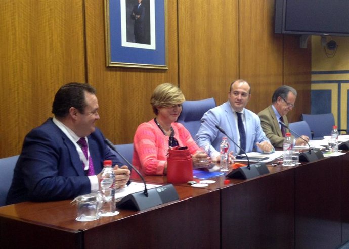 Comparecencia de Teresa Florido en la comisión de investigación sobre Formación del Parlamento andaluz, el 22 de abril de 2016