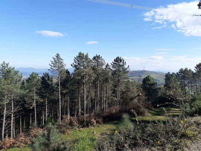 Cielos despejados en Bizkaia (archivo)