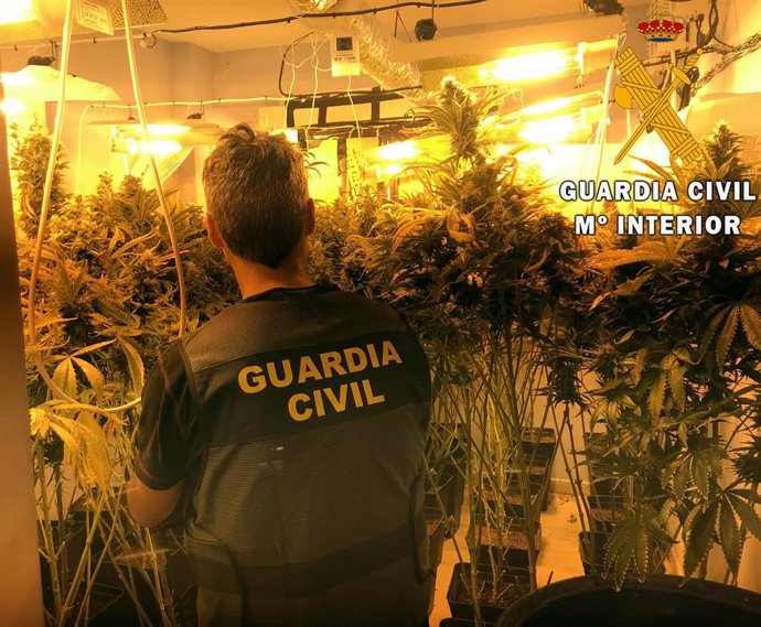 Plantación 'indoor' de marihuana