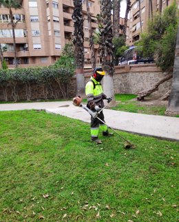 Una de las zonas verdes de Murcia en donde se rebaja la altura del césped