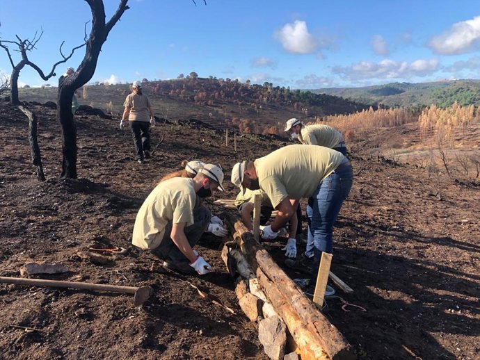 Voluntarios trabajan en la zona incendiada en Almonaster la Real (Huelva), en una imagen de archivo.
