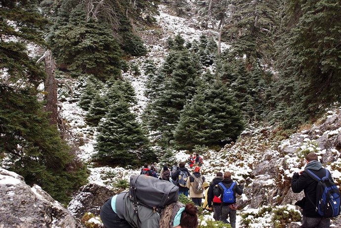   Sierra de las Nieves