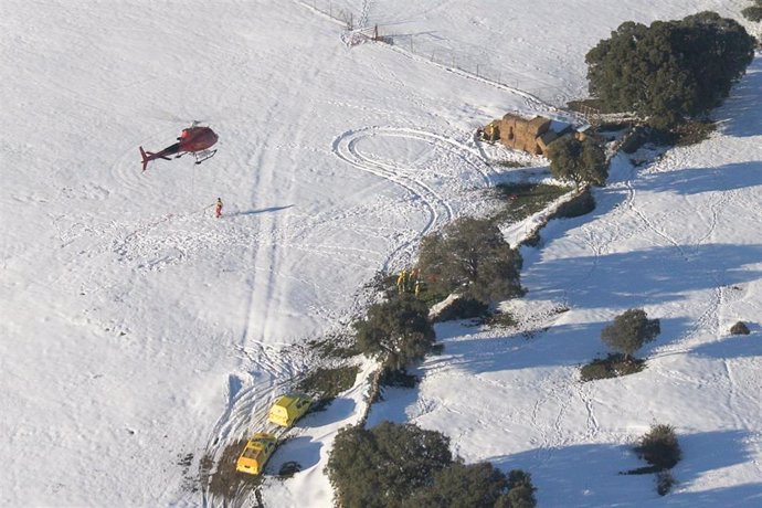Helicópteros del GERA llevan alimento a explotaciones agrarias aisladas por la nieve
