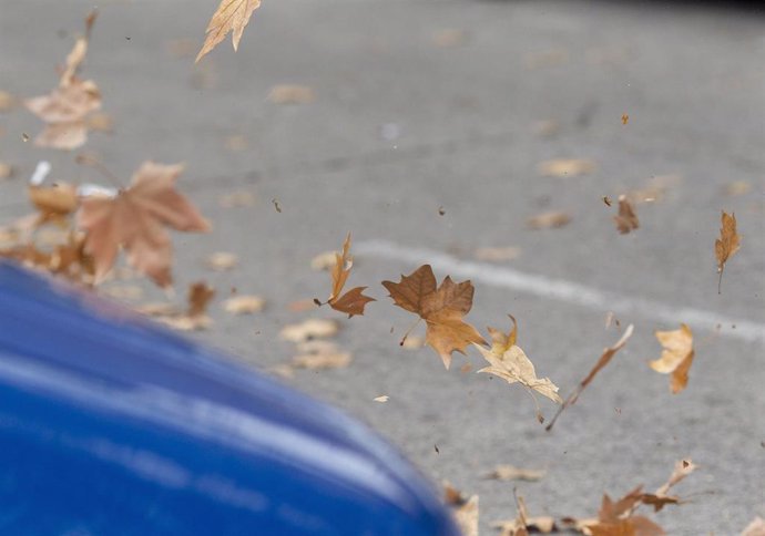 Euskadi prolonga hasta el martes el aviso amarillo por viento