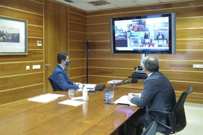 Ibáñez en un monento de la videoconferencia en la Sectorial de Agricultura