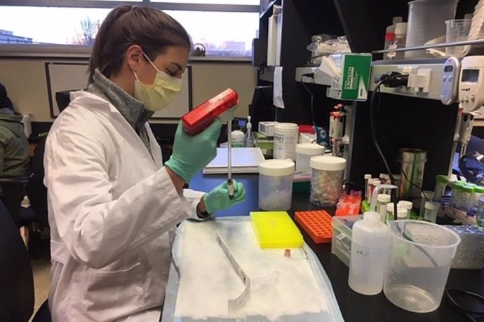 Investigadores de la Facultad de Medicina de la Universidad de Washington en St. Louis han desarrollado una biopsia líquida, que examina sangre u orina, que podría ayudar a guiar el tratamiento de los pacientes con cáncer colorrectal.